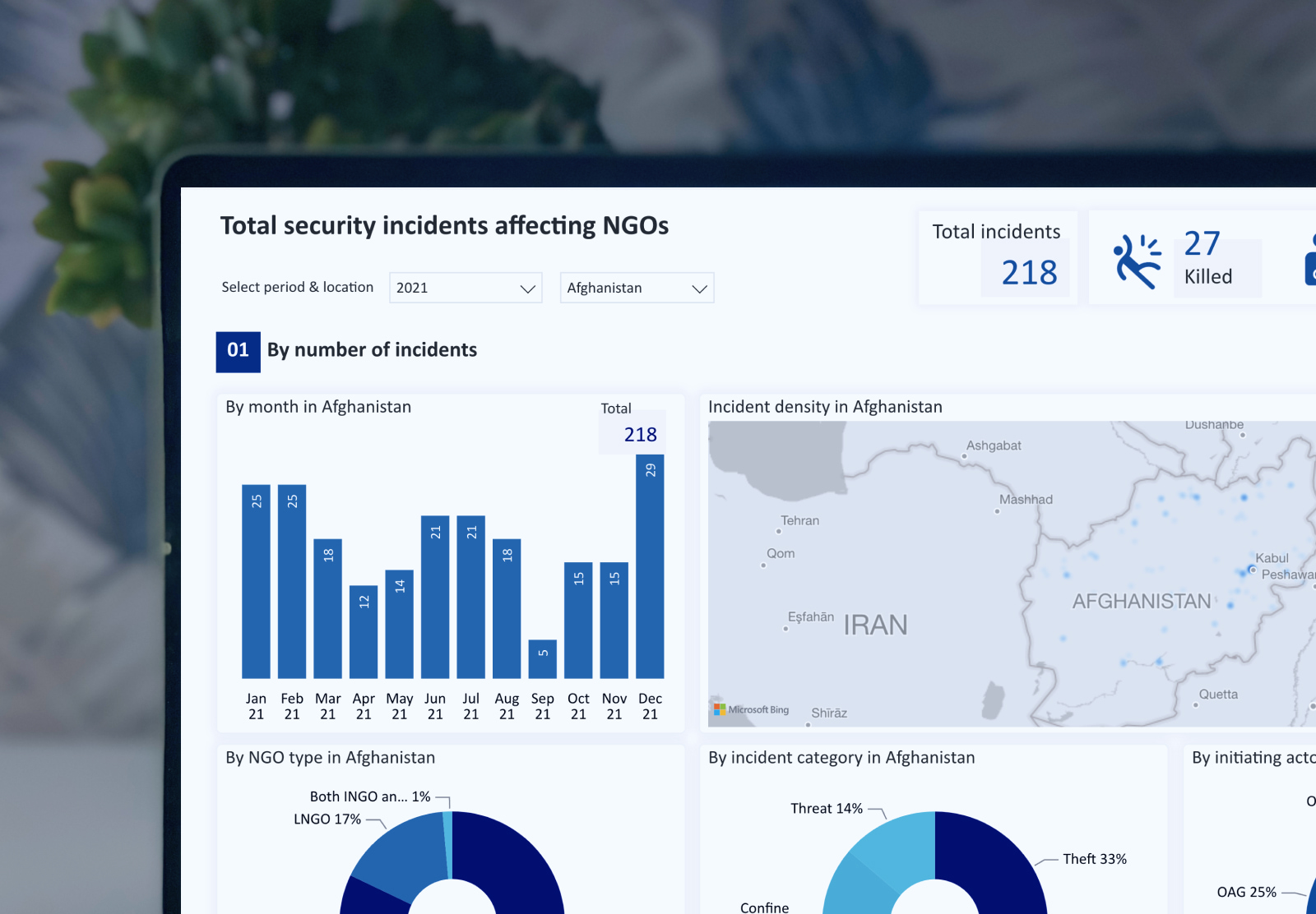 INSO's NGO data dashboard