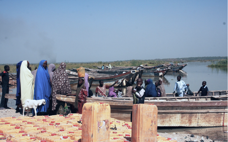 People by a shore in Lake Chad Basin